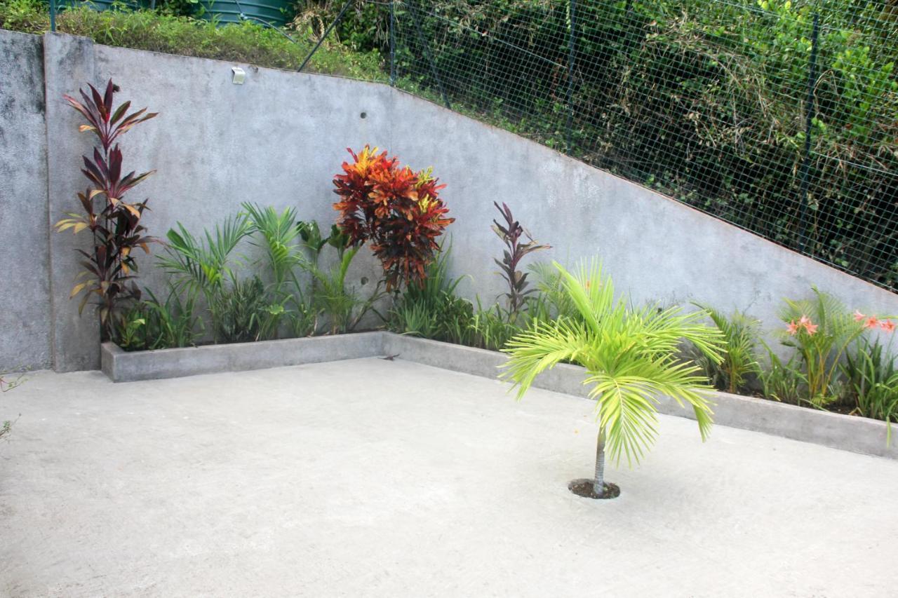 Exotic Guest House Anse Volbert Village  Exterior photo